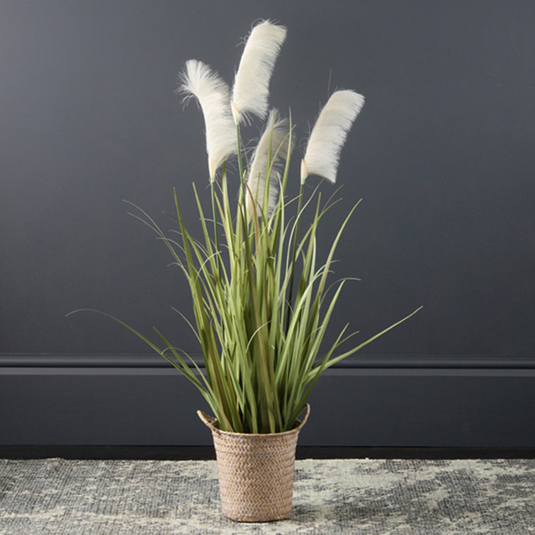 The Seasonal Aisle 100Cm Artificial Pampas Grass in Pot Wayfair.co.uk